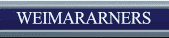 WEIMARARNERS
